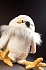 Мягкая игрушка - Белая сова, размер 19 х 16 см.  - миниатюра №1